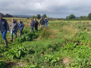 Line of people walking through a grassy field