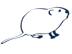 Dark blue icon of a water vole
