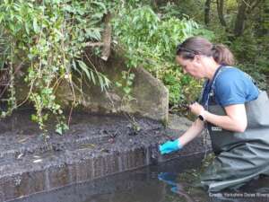 Woman in waders stood in river up to knees, wearing blue plastic gloves holding a test tube above the water