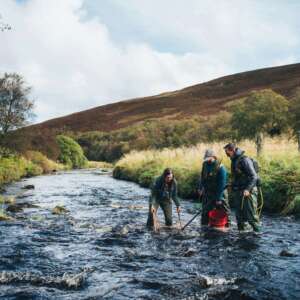 Three individuals stand in a shallow river, wearing waders, conducting an electrofishing survey