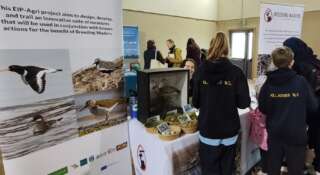 People stood looking at event stand with birds on a poster