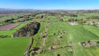 Ariel view of a landscape comprising of green fields and trees