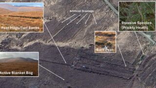 Ariel view of a peatland with areas highlighted and boxes with zoomed in views of different features.