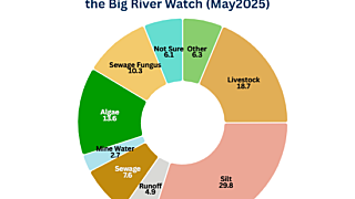 Pie chart of pollution spotted