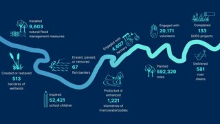 A graphic depicting a river outline and key stats dotted across it