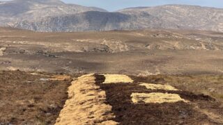 Biodegradable coir geotextile laid out over a peatland