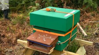 Artificial beehive in a field