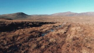 View of a peatland