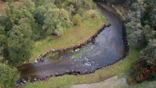 Ariel view of a river with trees on both banks