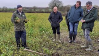 Group of four people in a muddy field talking