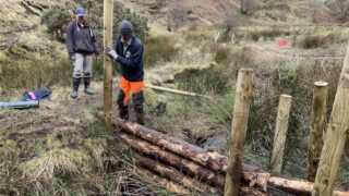 two people build a leaky dam across a small river using roguh cut wood and tree trunks