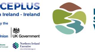 Logo banner showing PSW and PeacePlus organisation logos
