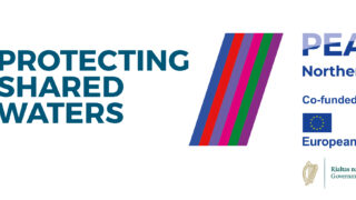 PSW logo