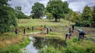 A group of people help restore a wetland in a green park to bring biodiversity back