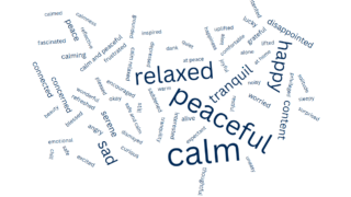 Word cloud of the most common feelings people had by a river