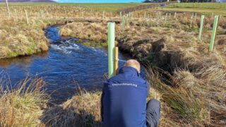 Rear view of a man crouched in long grass next to a river, tying a wooden post to a tree planting tube