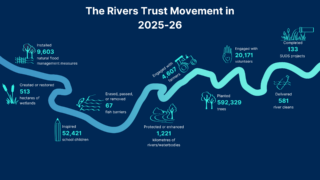 Dark blue background with light blue river graphic running through it and stats