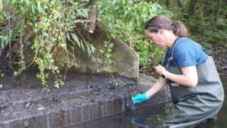 Woman in waders stood in river up to knees, wearing blue plastic gloves holding a test tube above the water