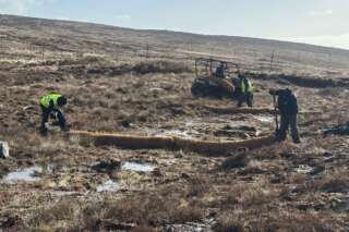 Three people installing a coir log on a peatland