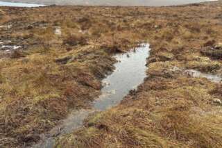 Close up view of water pooling on a peatland