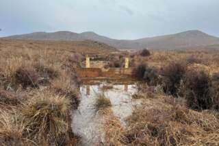 Woody barrier installed on a peatlands, slowing the flow of water through the landscape