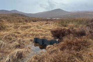 Drainage slowing device installed on peatland