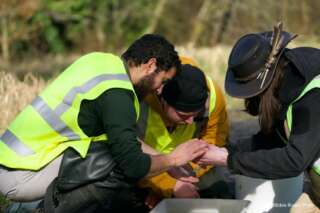 Three people in, two men and one woman, crouched down looking at something in their hands