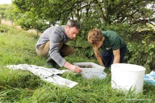 Two men kneeling on grass looking a river water in a clear plastic tray