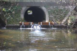 View of a tunnel over a river with a fish pass (a ramp) leading from the water into the tunnel