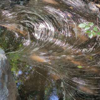 Swirls of sewage on the surface of a river