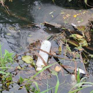 A plastic bottle and a beer can floating in a river with dirty water