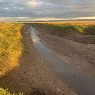 River with noticeable low water levels and dry river banks running through a field.