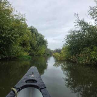 View of the tip of a canoe on a river with trees either side