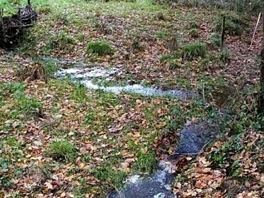Close up image of a leaky dam at Deer Meadows, Devon