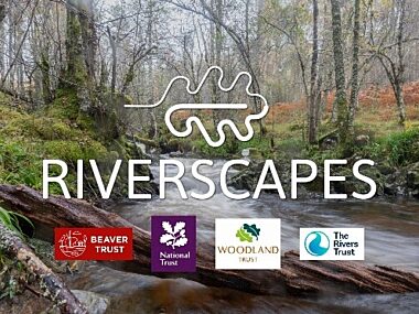 Background image of a river surronded by trees. Foreground shows a large Riverscapes partnership logo with smaller logos for the Beaver Trust, National Trust, Woodland Trust, and The Rivers Trust