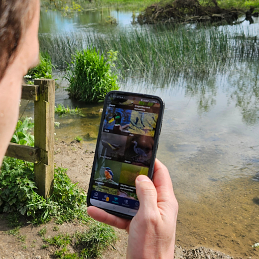 View over mans shoulder holding phone looking at river