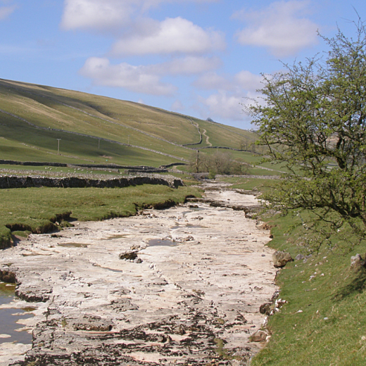 A dry river with very little water running through a green landscape with a single tree on the right riverbank
