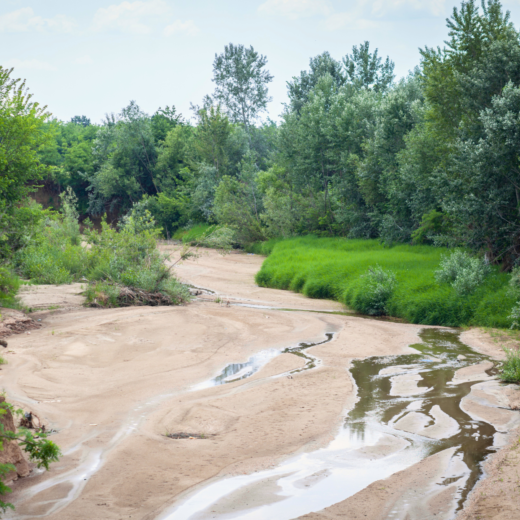 a dried out riverbed