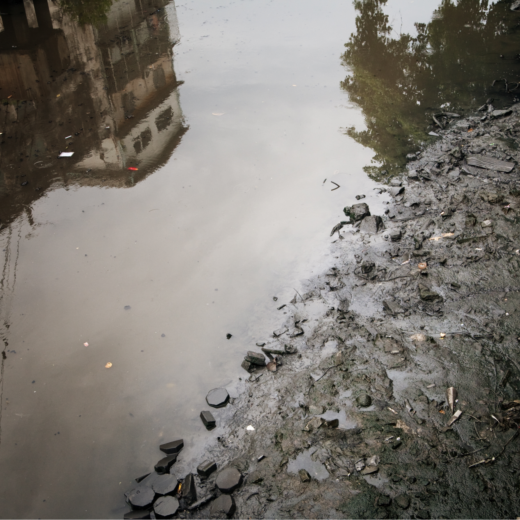 Sewage pollution at edge of waterway