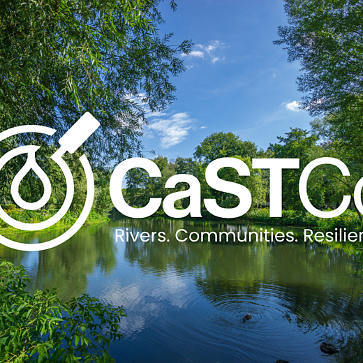 castco banner