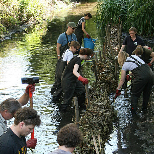 volunteers in river