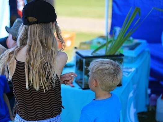 Viewed from the back, a family of young children gathered around a water display tank