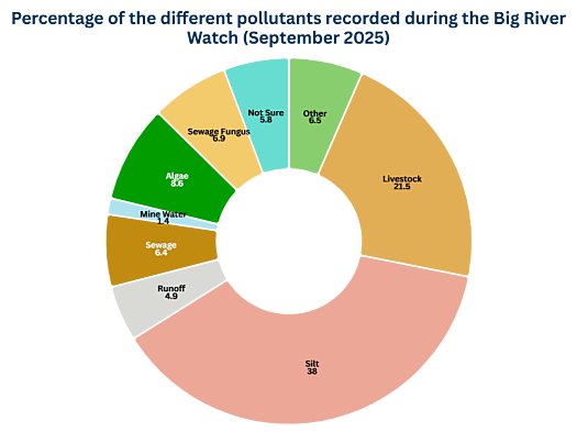 A pie chart with each section displaying a different type of pollution and how many times it was seen