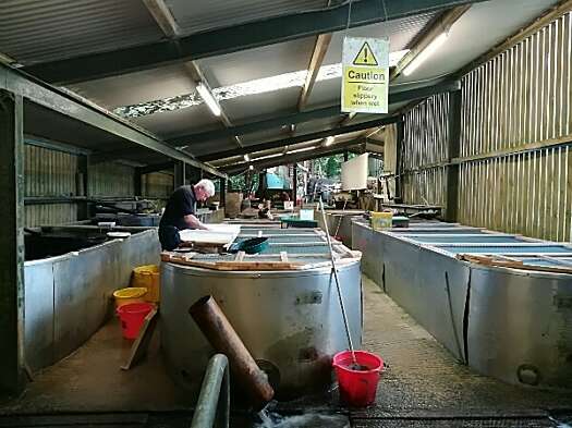 Pearl Mussel Hatchery