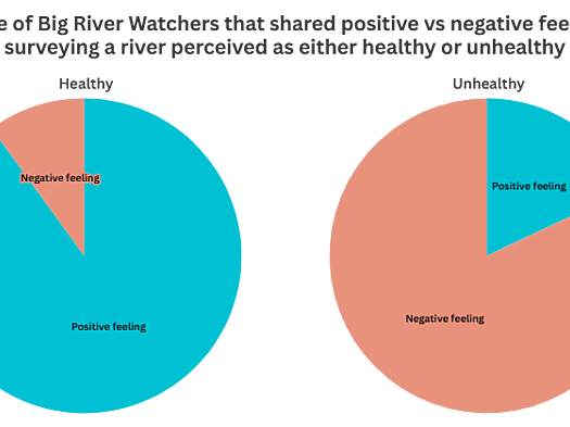 Two pie charts showing whether positive or negative feelings were recorded when looking at rivers perceived to be healthy or unhealthy