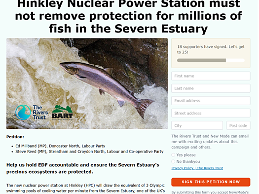 a screen grab of the page where the petition is hosted