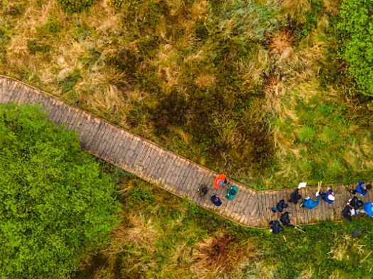 Ariel view of boardwalk running through wetland with people walking on it