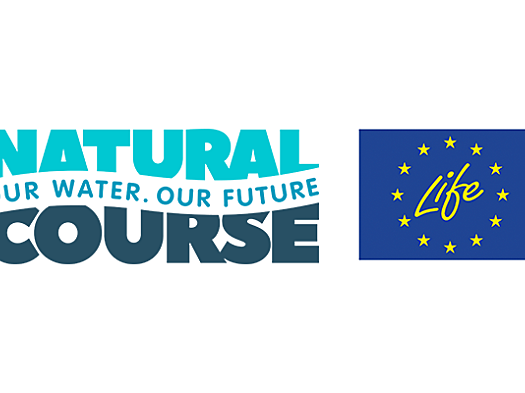 Natural Course Life Logo