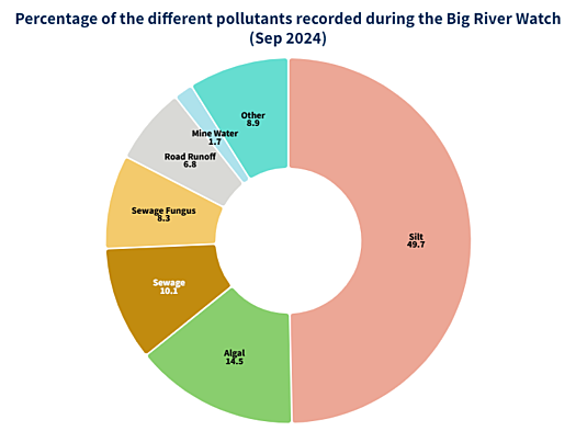 Graph showing the different pollutants seen by percentage