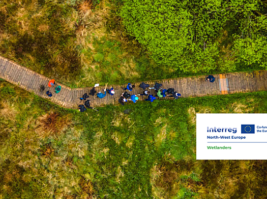 Ariel view of boardwalk running through wetland with people walking on it